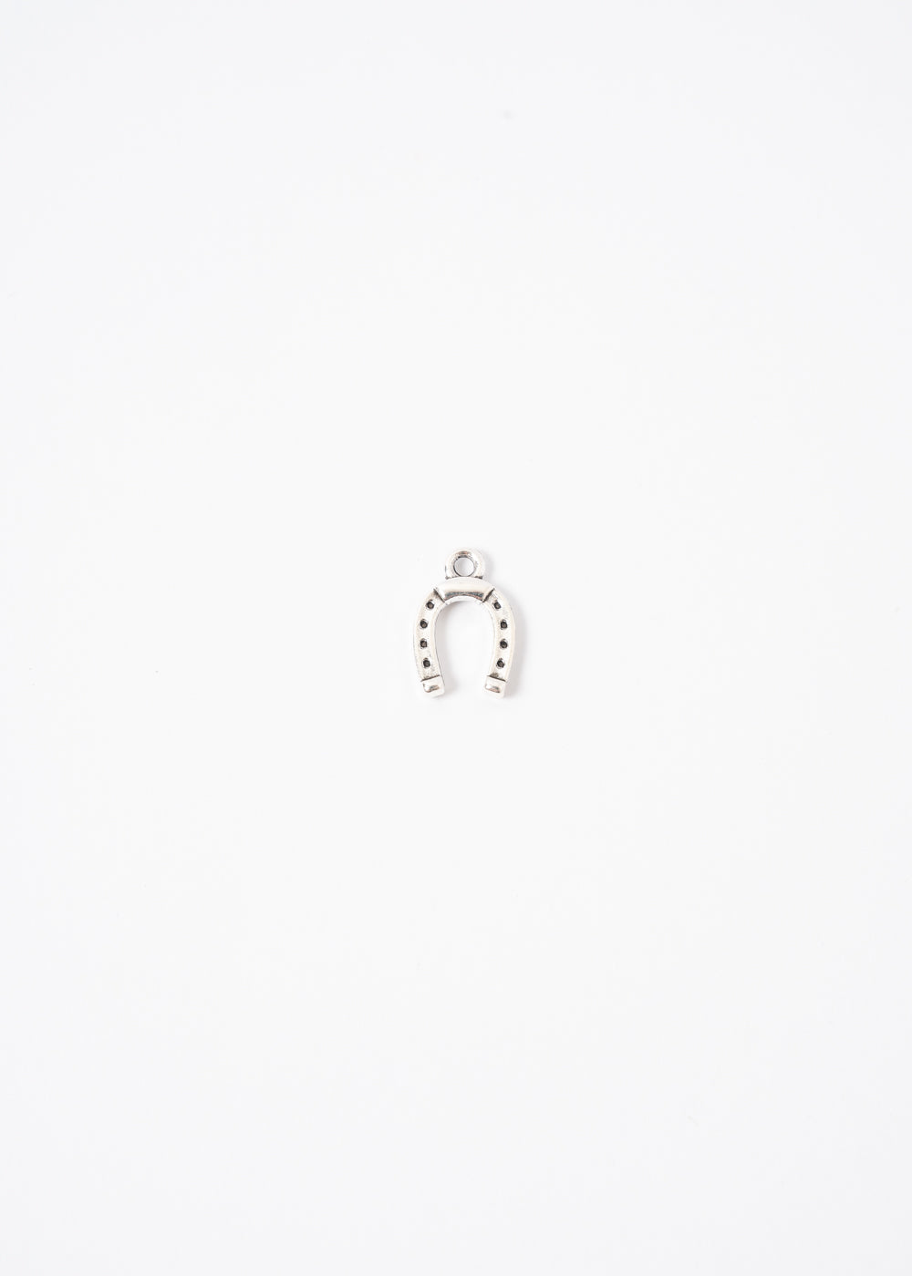 HORSESHOE SILVER