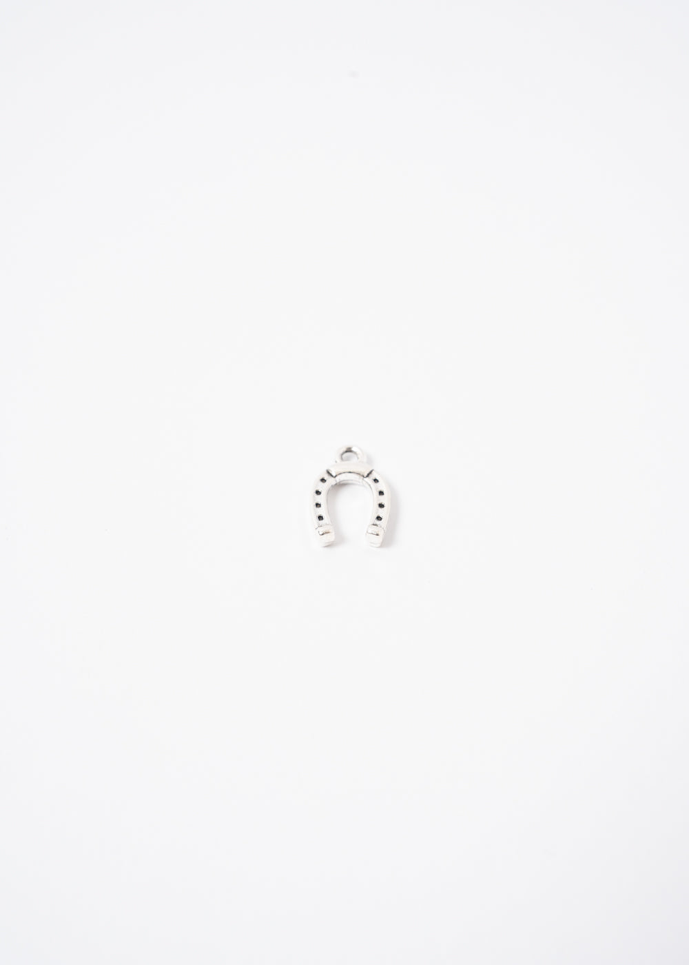 HORSESHOE SILVER